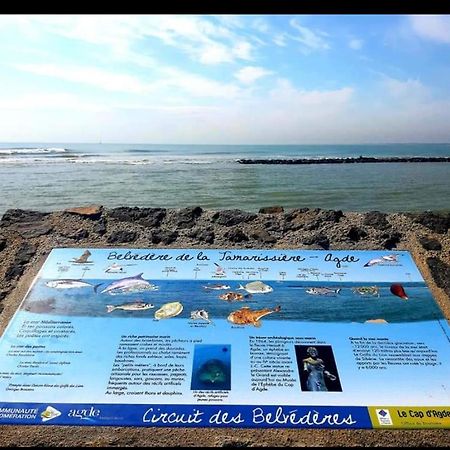Vacance Au Grau D'Agde Le Grau-dʼAgde Exterior foto