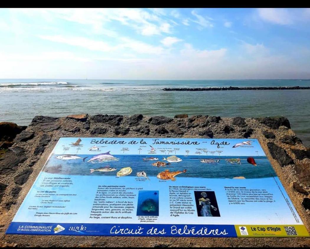 Vacance Au Grau D'Agde Le Grau-dʼAgde Exterior foto